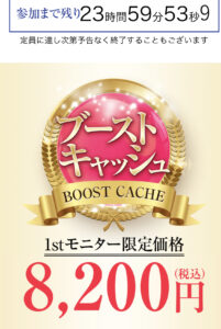 ブーストキャッシュ