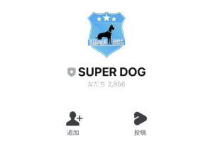 SUPERDOG（スーパードッグ）